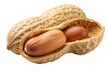 © DesignVectX - An opened peanut shell displaying two peanuts inside, isolated on a plain white background in natural daylight