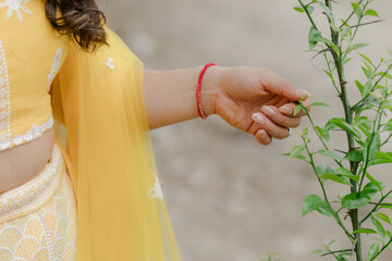 Wall Mural - haldi ceremony ritual in Indian wedding