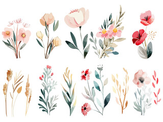 Wall Mural - Set of watercolor wild flower bouquets