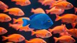 © shahriarsworld - Unique blue fish standout from other fish representing bold, defiance, originality