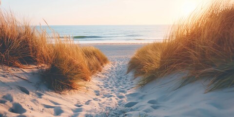 Sticker - A tranquil sandy beach path flanked by golden dune grasses leading to the ocean at sunset