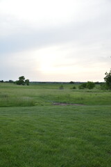 Canvas Print - Field