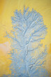 © ADDICTIVE STOCK - Tree-like blue texture on yellow background in Riotinto