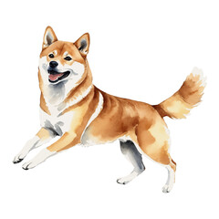 Wall Mural - Japanese Shiba Inu Dog Hand Drawn Watercolor Painting Illustration