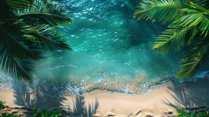 Wall Mural - Idyllic beach scenery with palm trees overhanging crystal clear turquoise waters on a sunny day