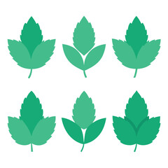 Set of Mint leaf vector icon vector on white background