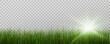 © Александр Боярин - Grass border, vector illustration. Vector grass, lawn. Grass png, lawn png. Green grass with sun glare.