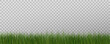 © Александр Боярин - Grass border, vector illustration. Vector grass, lawn. Grass png, lawn png. Green grass with sun glare.