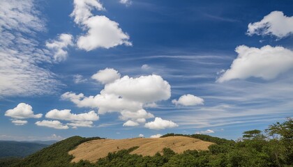 Wall Mural - blue sky and clouds