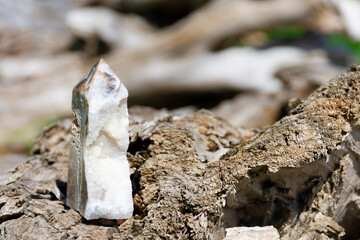 Wall Mural - An image of a single healing crystal geode tower resting on driftwood.