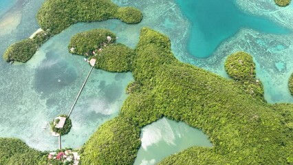 Wall Mural - Aerial drone of bay and lagoon with islands. Seascape in the tropics. Sipalay, Negros, Philippines.