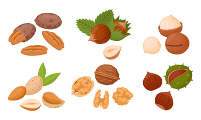 Wall Mural - Cartoon organic nuts. Raw hazelnut, macadamia and almond, tasty snacks for vegetarian diet flat vector illustration set. Nuts collection on white