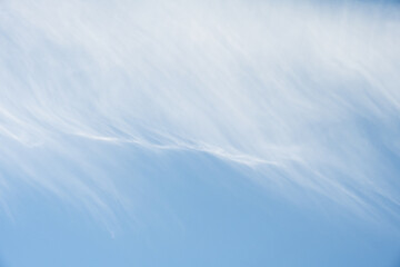 Wall Mural - Light blue sky with a line of wispy white feathery cloud, as a nature background
