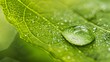 © thung - Detailed close-up of a rain drop on a bright tree leaf, featuring subtle tech-inspired patterns to illustrate the integration of nature and technology
