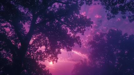 Wall Mural - A purple sky with a tree in the foreground