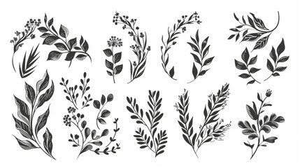 Set of elegant floral logo elements. Borders and dividers, frame corners and branch.  Hand drawn line wedding herb