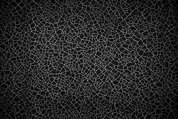 A black and white photo of a cracked surface