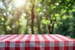 © Duka Mer - A red and white checkered tablecloth covers an outdoor picnic table, set against a blurred background of green trees in the park.