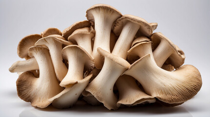 cluster of king oyster mushrooms