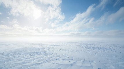 Wall Mural - A vast expanse blanketed in snowy whiteness