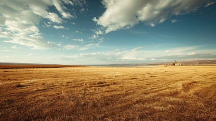 Poster - A vast brown field with a body of water and structures in the distance