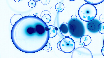 Poster - Moving molecular bubbles with embryos. Design. Bubbles with infection move in flow of body. Animation of moving charged molecules in space