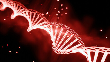 Poster - Glowing dna rotates in space. Design. Dna spiral rotates and glows with moving gene particles. Collected dna with gene chains