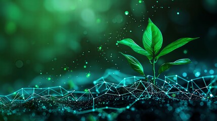 green plant growing on the network of data, digital technology background, dark green gradient with light glow and futuristic elements, green leaves and seedling growing from glowing geometric shapes