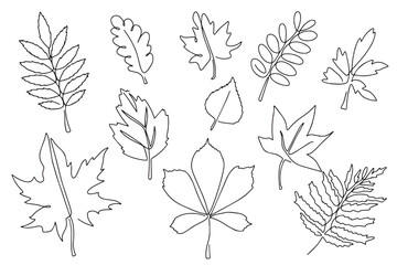 Wall Mural - Set of autumn leaves, hand drawn, doodle style. Autumn leaves in line art style. Design for stickers, logo, website and mobile app.