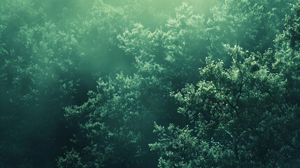 A deep forest green background with a smooth color.