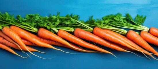 Poster - Organic food Red carrots in the on bright blue background Top view copy space Harvest