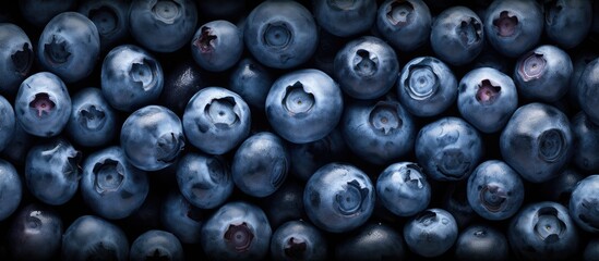 Poster - blueberry fruits close up background flat lay. copy space available