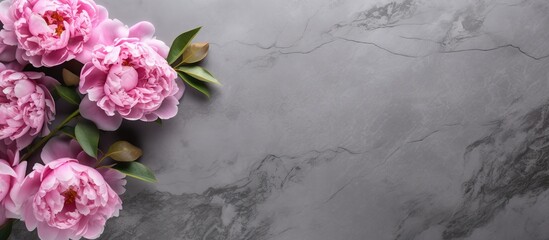 Poster - Beautiful pink peony flowers on gray stone table with copy space for your text Flat style top view