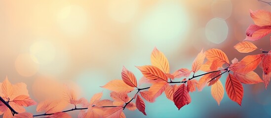 Poster - background of autumn leaves. copy space available
