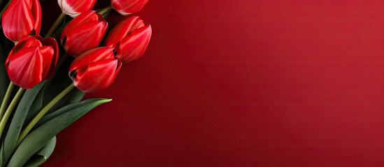 Poster - Banner with a bouquet of red tulips on red background Flat lay with flowers top view with copyspace International Women s Day Mother s Day concept Valentines spring background floral mock up