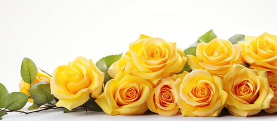 Poster - Yellow roses Bunch of flowers isolated on white background Great decoration for wedding invitation. copy space available
