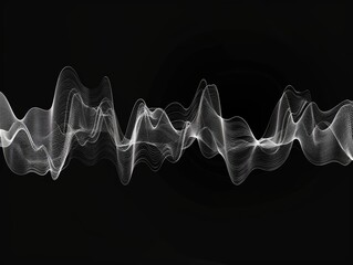 Poster - Monochrome Soundwave Art Captured in Hyper Real Detail at Night
