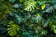 © Damianius - Wall Covered With Various Exotic Leaves And Flowers Plants For Background Created Using Artificial Intelligence