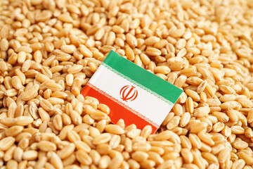 Wall Mural - Iran flag on grain wheat, trade export and economy concept.