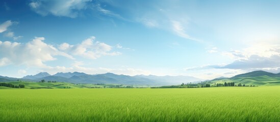 Wall Mural - A scene of nature with a field mountains and sky in a serene green space suitable for a copy space image