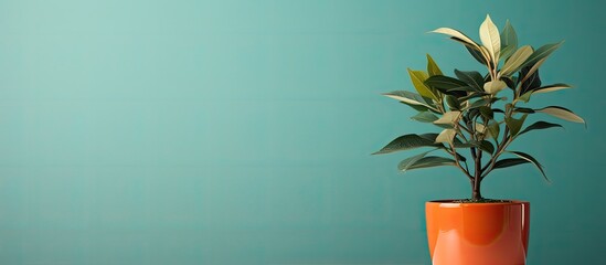 Poster - A potted plant with a copy space image