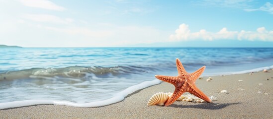 Wall Mural - Summer beach scene with a starfish seashell sea water and a summer background perfect for a copy space image