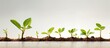 © Ilgun - New plants in early growth stages against blank background for further adding elements in a copy space image