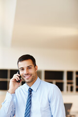 Poster - Phone call, smile or businessman consulting in portrait for office project in conversation or communication. Broker, talk or happy financial advisor networking in investment deal or listening to news