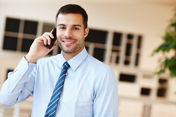 Poster - Businessman, portrait and networking phone call in office as real estate investor for deal, communication or budget. Male person, face and cellphone for property loan with client, trust or commission