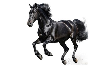 Poster - A powerful black horse in motion. Suitable for equestrian and animal-themed designs