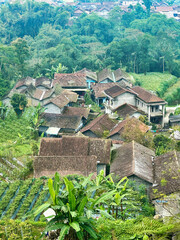 Wall Mural - village on the hill