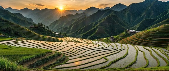 Wall Mural - panorama view of rice terrace fields, north vietnam in sunset