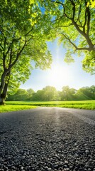 Wall Mural - a scenic park, verdant green grass and towering trees frame a clear blue sky, while an asphalt road stretches into the distance, presenting a tranquil nature landscape perfect.