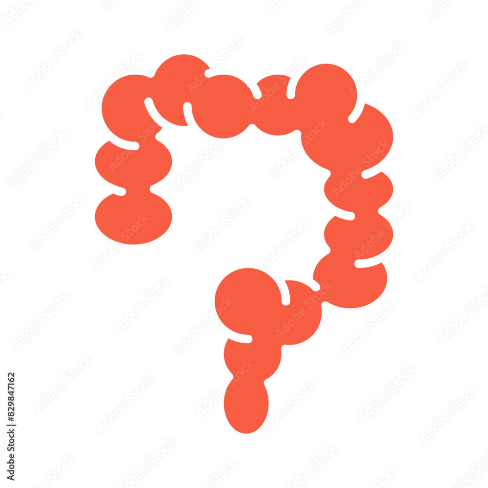 Red Color Digestion Intestine set icon. Large intestine, digestive system, colon, bowel ...